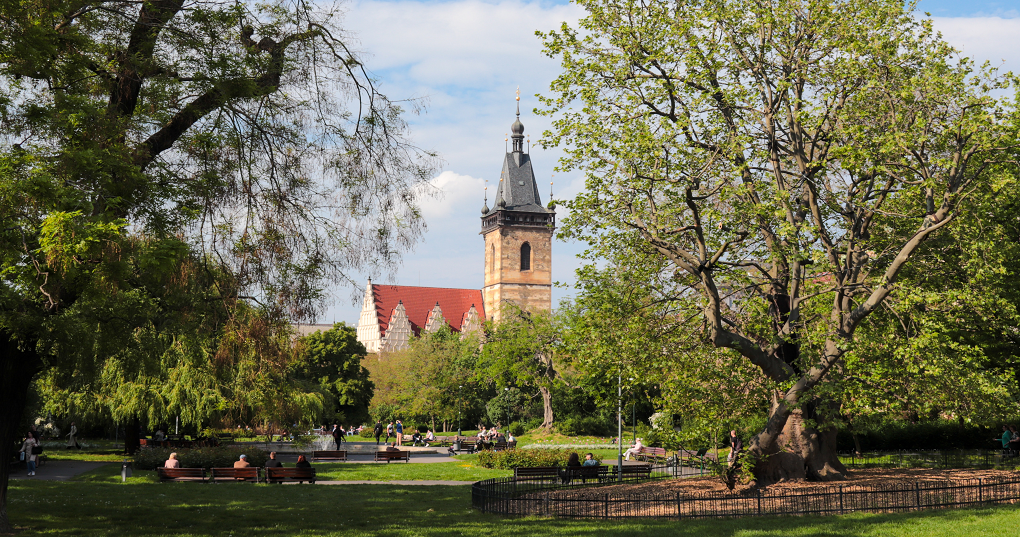 A park with trees and a church in Prague by Marie Bellando Mitjans