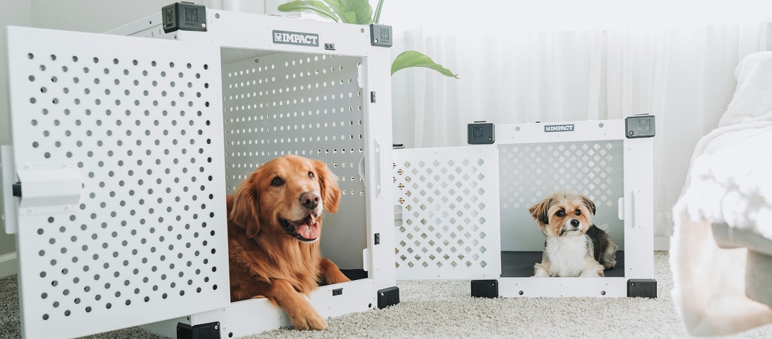 Two dogs in crates by Impact Dog Crates