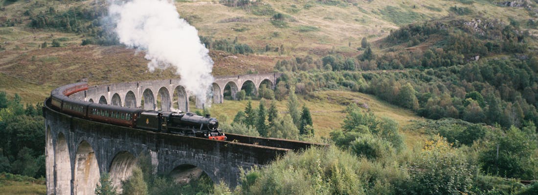 Train on the Glenfinnan Viaduct by Erin Raffensberger