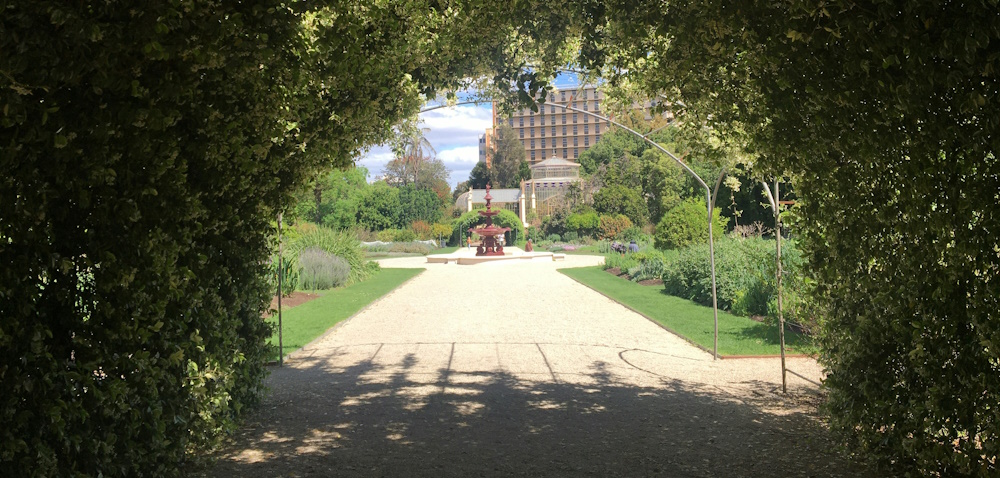 Adelaide Botanic Garden by Regirock365