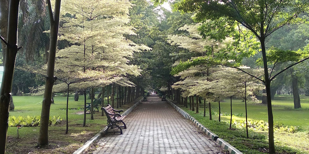 Lalbagh Botanical Park by Chinmay Dhope