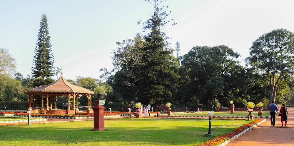 City Park in Bangalore by Olha Kolesnyk