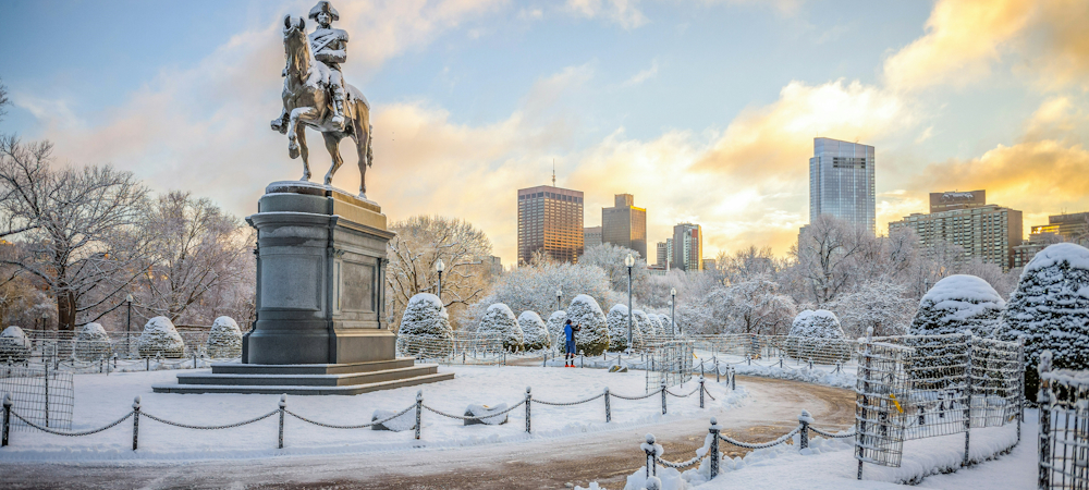 Boston Public Garden by Sean Sweeney on Unsplash