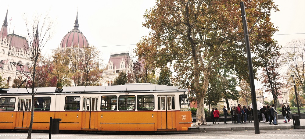 Tram in Budapest by I Do Nothing But Love
