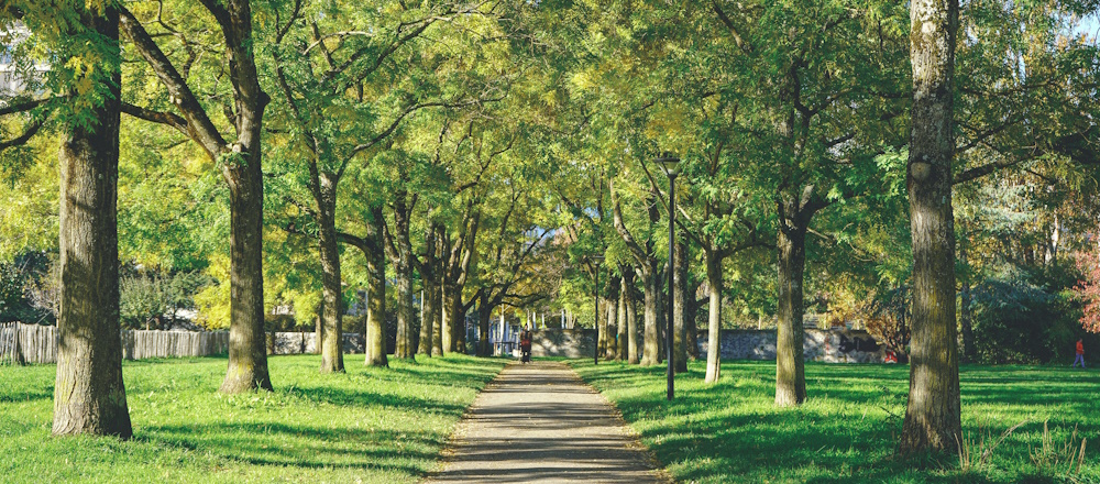 Park in Geneva by Meizhi Lang on Unsplash