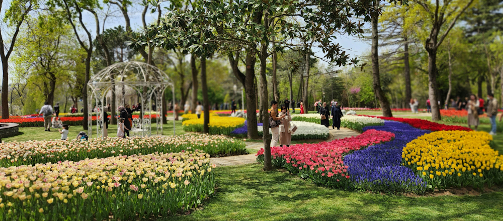 Emirgan Park in Istanbul by Rento Transfer on Unsplash