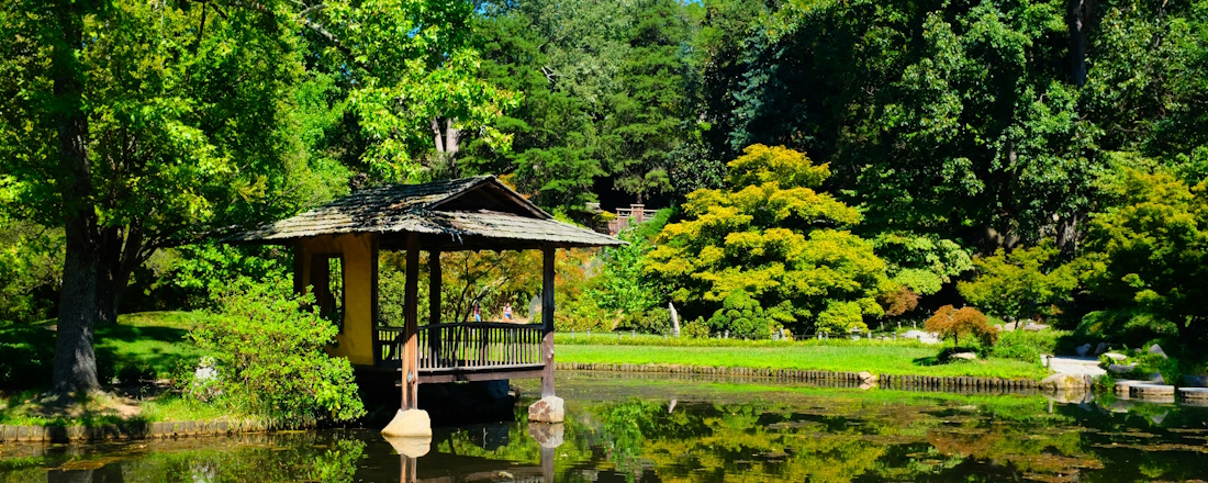 Maymont Garden in Richmond by Girma Nigusse