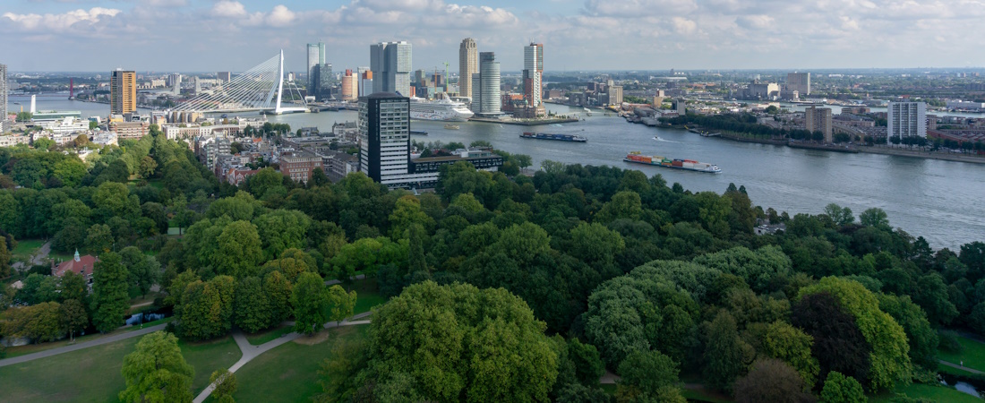 View of Rotterdam from Parkhaven by Chay Kelly