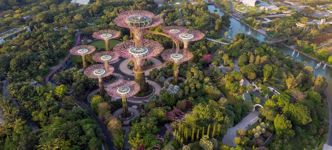 Aerial shot of the giant trees and surrounding greenery in Gardens by the Bay