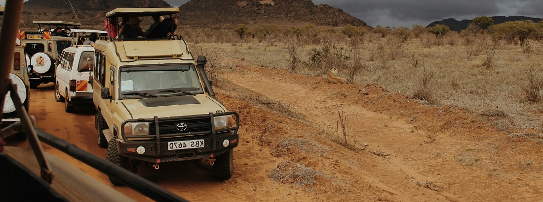 Driving in Angola by Giusi Borrasi from Unsplash