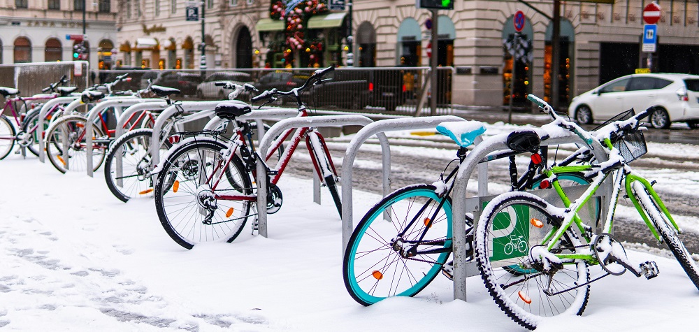 Cycling in Vienna by Anton