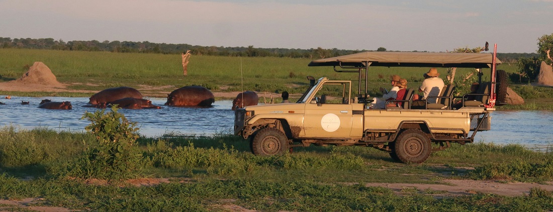 Safari drive in Chobe by African Wilderness from Unsplash