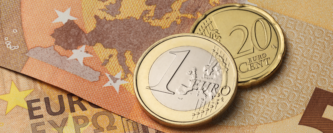 Euro notes and coins